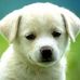 Amy Meltzer - Facebook