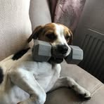 Amy Mercer - Facebook