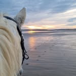 Amy Mercer - @me.and.mygrey - Instagram