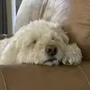 Amy Merryman Davis - @amy.merryman.davi - TikTok