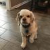 Amy Meyers - Facebook