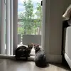 amyminchaekang - @amyminchaekang7 - TikTok
