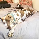 Amy Minor - @akruckeberg - Instagram