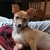 Amy - @amymitchell8458 - TikTok