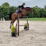 Amy Mitchell - @amym.showjumping - Instagram