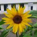 Amy Monahan - Facebook