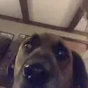 amy - @amy.morgaan - TikTok