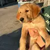 Amy Morga - @amy.morga - TikTok