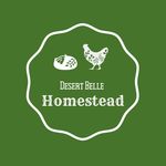 Amy Morrill - @desert.belle.homestead - Instagram