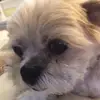 amymorrillbijeau0 - @amymorrillbijeau0 - TikTok