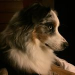Amy Mraz - @mizmraz - Instagram