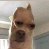 amy_mrazfiona8378 - @amy_mrazfiona8378 - TikTok