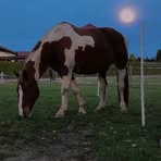 Amy Müller - Facebook