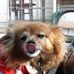 Amy Muston - Facebook