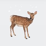 Minc - @amy.nakai - Instagram