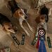 Amy Nathanson - Facebook