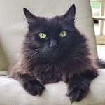 Amy Nathanson - @amy.nathanson.1 - Instagram