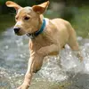 user87369990443446 - @amy.ynews - TikTok
