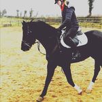 Amy Noble - @amyequine_17 - Instagram