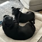 Amy Olson - Facebook