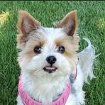 Amy Olson - Facebook