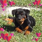 Amy Olson - Facebook