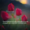 Amy Ramirez888 - @amyramirez888 - TikTok