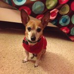 Amy - @amy_rauch - Instagram