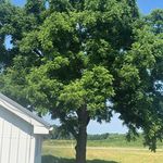 Amy Rauch - @embrace_the_crunchy - Instagram