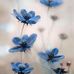 Amy Reeder - Facebook