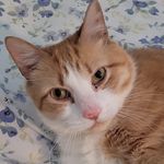 Amy Reeder - @amy.reeder.5 - Instagram