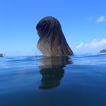 Amy Rees - @amy_rees12 - Instagram