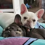Amy Register Barefoot - @frenchie_mama_77 - Instagram