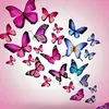 Amy Reichenbach - @amyreichenbach - TikTok