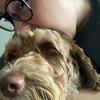 amy - @amyrenwick29 - TikTok