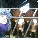 Amy Renwick - @renwick_amy71 - Instagram