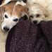 Amy Renwick - Facebook