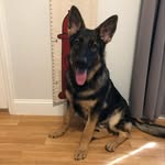 AmyRibble - @amyribble3 - Instagram