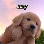 amy rico🍝 - @amyyrico - Instagram