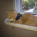 Amy Ridings - @ridings.amy797q - Instagram