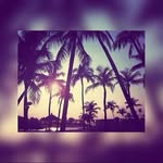 Amy Roach - @ams_roach - Instagram