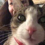 Amy Robison - @amyerob10 - Instagram