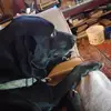 Amy Rodgers - @amy.rodgers19 - TikTok