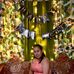 Amie U S Roldan - Facebook