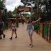 Amy Rolls - Facebook