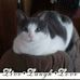 Amy Ronneberg - Facebook