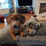Amy Miller Rooks - @rooksaj - Instagram