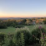 Amy Rothstein - Facebook