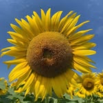 Amy Rotondo - @amyro75 - Instagram