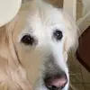 Amy Rotondo - @amy.rotondo - TikTok